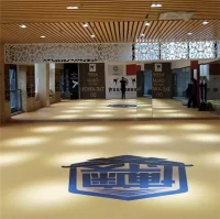 XPE Mat Le haghaidh Dornálaíochta Jodo MMA