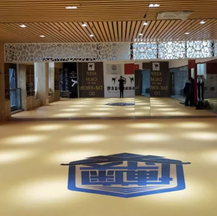XPE Mat Le haghaidh Dornálaíochta Jodo MMA